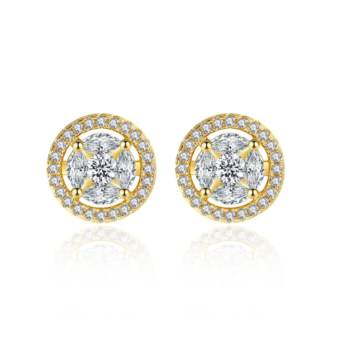Exquisite Round Zircon Earrings