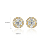 Exquisite Round Zircon Earrings (2)