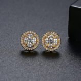 Exquisite Round Zircon Earrings (3)