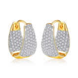 Jinse Qiuling Earrings For Woman (1)